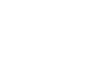 WATCHDOG SYSTEM