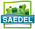 SAEDEL