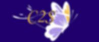C2S FORMATION