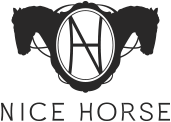 NICE HORSE