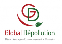 GLOBAL DEPOLLUTION