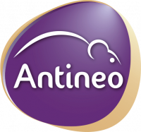 ANTINEO
