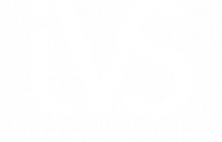 INTELLIGENT VIDEO SOFTWARE EN ABREGE IVS