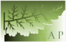 AGORA PALEOBOTANICA