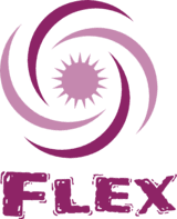 FLEX RECOUVREMENT