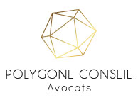 POLYGONE CONSEIL