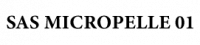 SAS MICROPELLE 01