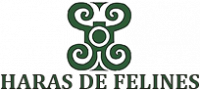HARAS DE FELINES