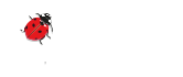 A.P.E
