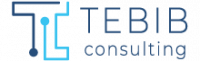 TEBIB CONSULTING