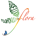 LES ELIXIRS FLORAUX DE FLORA