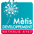 METIS DEVELOPPEMENT