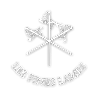 LES FINES LAMES