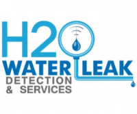 H2O DETECTION