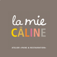 LIMOUSIN CONSULTING