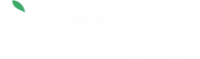 REGUSTO