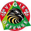 VIGIE DEFENSE