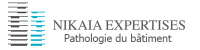 NIKAIA EXPERTISES