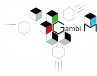 GAMBI-M