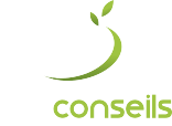 ADI CONSEILS