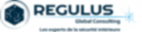 REGULUS GLOBAL CONSULTING