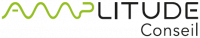 AMPLITUDE CONSEIL