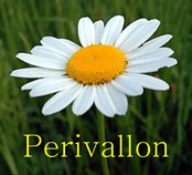 PERIVALLON