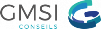GMSI CONSEILS