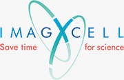 IMAGXCELL