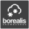 BOREALIS SNOWBOARDS