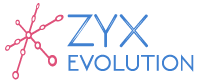 ZYX EVOLUTION
