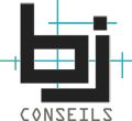 BJ CONSEILS