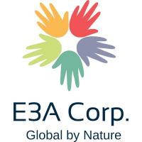E3A CORP