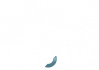 MOTION CONCEPT GROUP