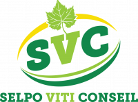 SELPO VITI CONSEIL
