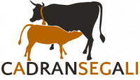 CADRAN SEGALI