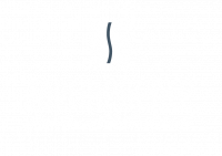 SAPONESSENCE