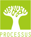 PRO-CESSUS