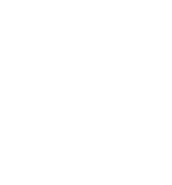 ALLIANZA GROUP