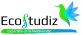 ECOSTUDIZ