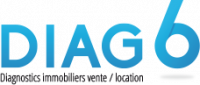 DIAG 6