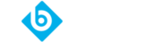 B-LEV TECHNOLOGY