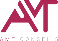 AMT CONSEILS