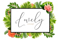 LOVELY CONCEPT
