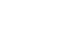 MARMULE FABRIC