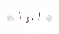 VIGNOBLES ARDOUIN