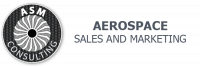 ASM CONSULTING