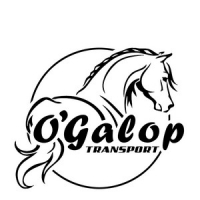O'GALOP TRANSPORT