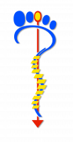 PODIALSACE