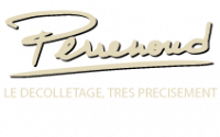 PERRENOUD